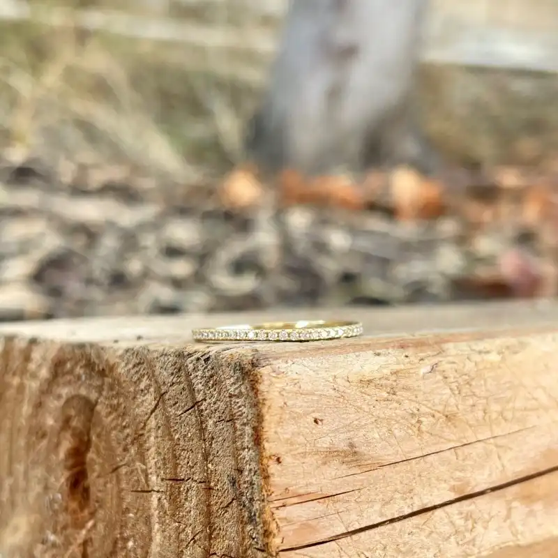 /public/photos/live/278 (3).webp